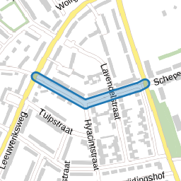 Crocusstraat