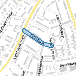 Tulpstraat