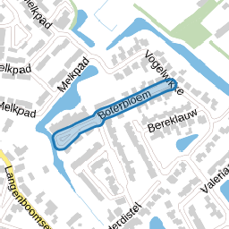 Boterbloem