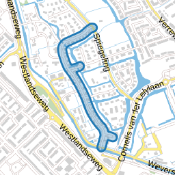 Blikveld