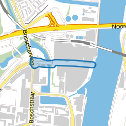 Fransensingel