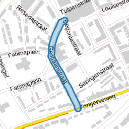 Gentiaanstraat