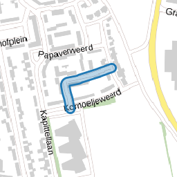 Kamilleweerd