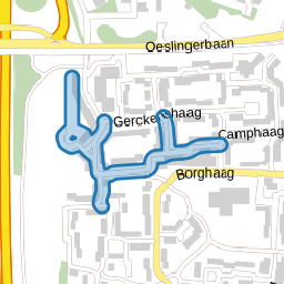 Manshaag