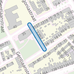 Orchideeënstraat