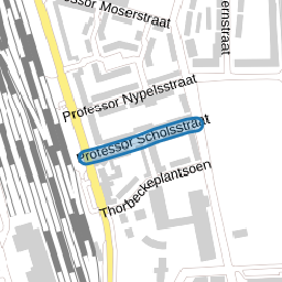 Professor Scholsstraat