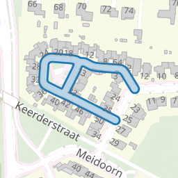 Sleedoorn