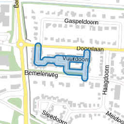 Vuurdoorn