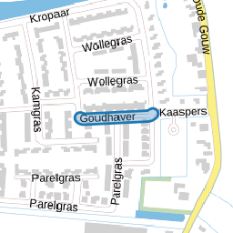 Goudhaver