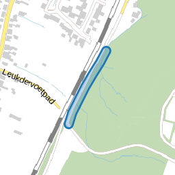 Molenwegsken