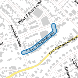 Paus Joannesstraat