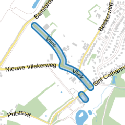 Vliek