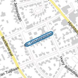 Mr. Goselingstraat