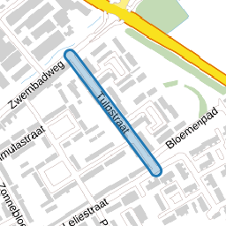Tulpstraat