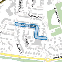 Nachtegaal