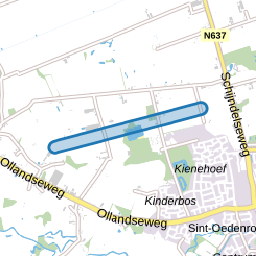 Stekelbrem