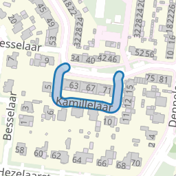 Kamillelaar