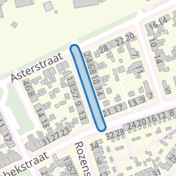 Lobeliastraat