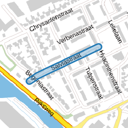 Salviastraat