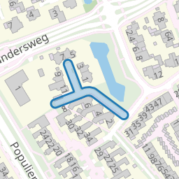 Seringelaar