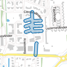 Kolibrievlinder