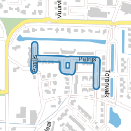 Patrijs