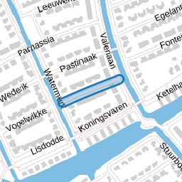 Sleutelbloem