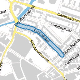 Timorstraat