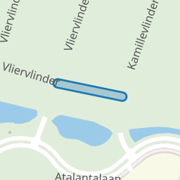 Braamvlinder