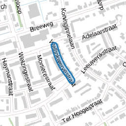 Wellinkwervestraat