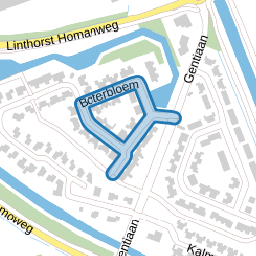 Boterbloem