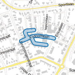 Esdoornlaan