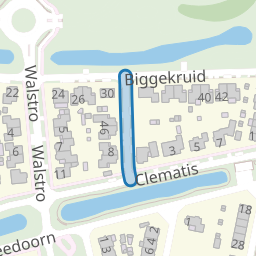 Steenbreek