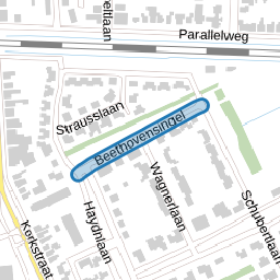 Beethovensingel