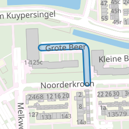 Grote Beer