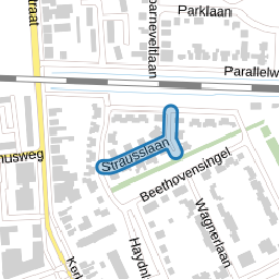 Strausslaan