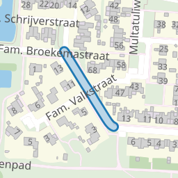 Fam. Levitusstraat