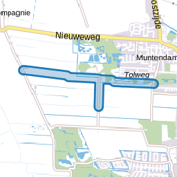 Tolweg