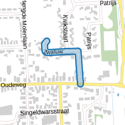 Zwaluw
