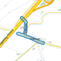 Pelikaan