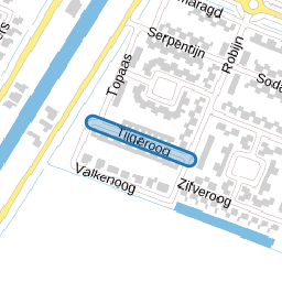 Tijgeroog