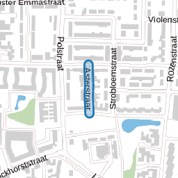 Asterstraat