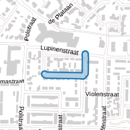 Ranonkelstraat