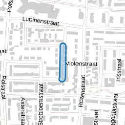 Salviastraat