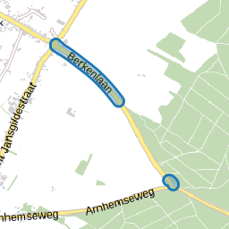 Berkenlaan