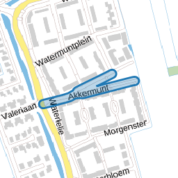 Akkermunt
