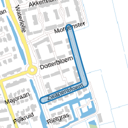 Zwanenbloem