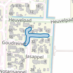 Koningszuur