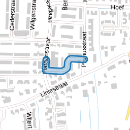 Goudenregenstraat