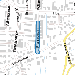 Prunusstraat